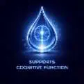 Advantage 4 Support Cognitive Function